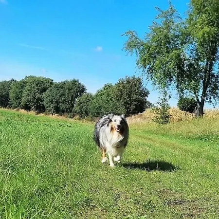 Ferienhaus Robbe, Grosszuegige Doppelhaushaelfte Fuer Bis Zu 4 Personen Mit Garten Und Sauna, Hunde Erlaubt *